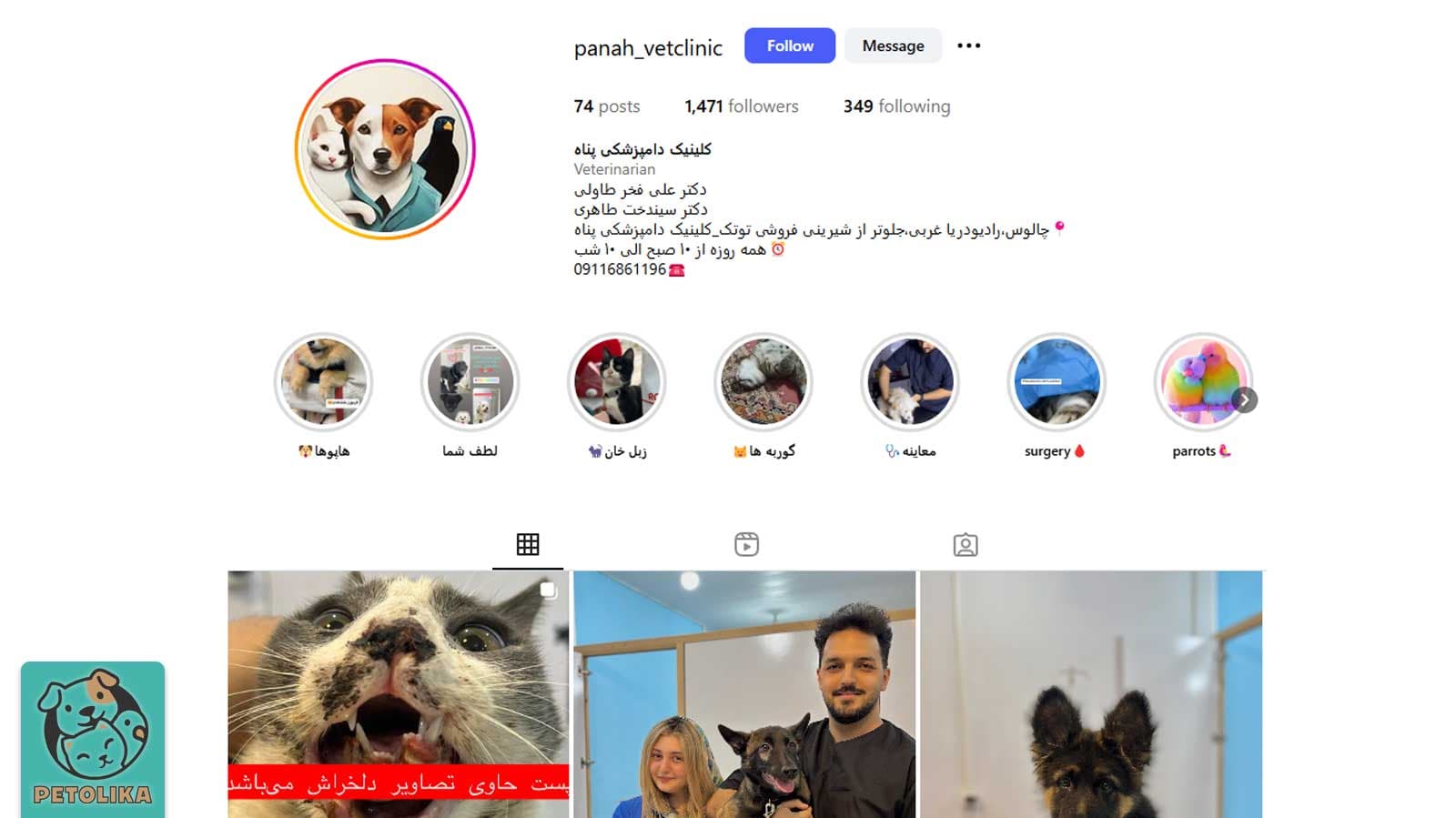 تصویری از صحفه اینستاگرام پت شاپ پناه