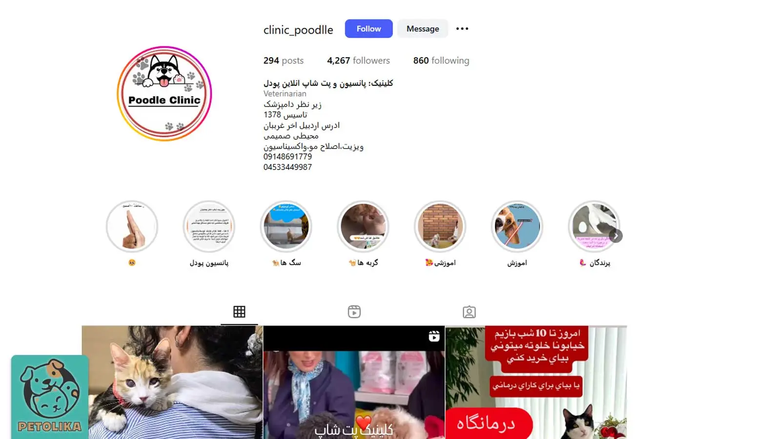 تصویری از صفحه اینستاگرام پت شاپ پودل