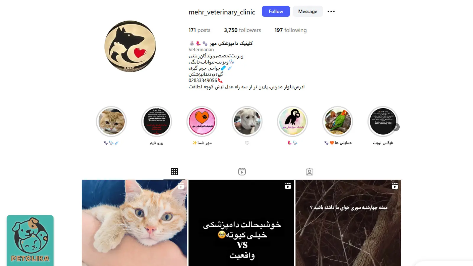 تصویری از اینستاگرام کلینیک دامپزشکی و پت شاپ مهر