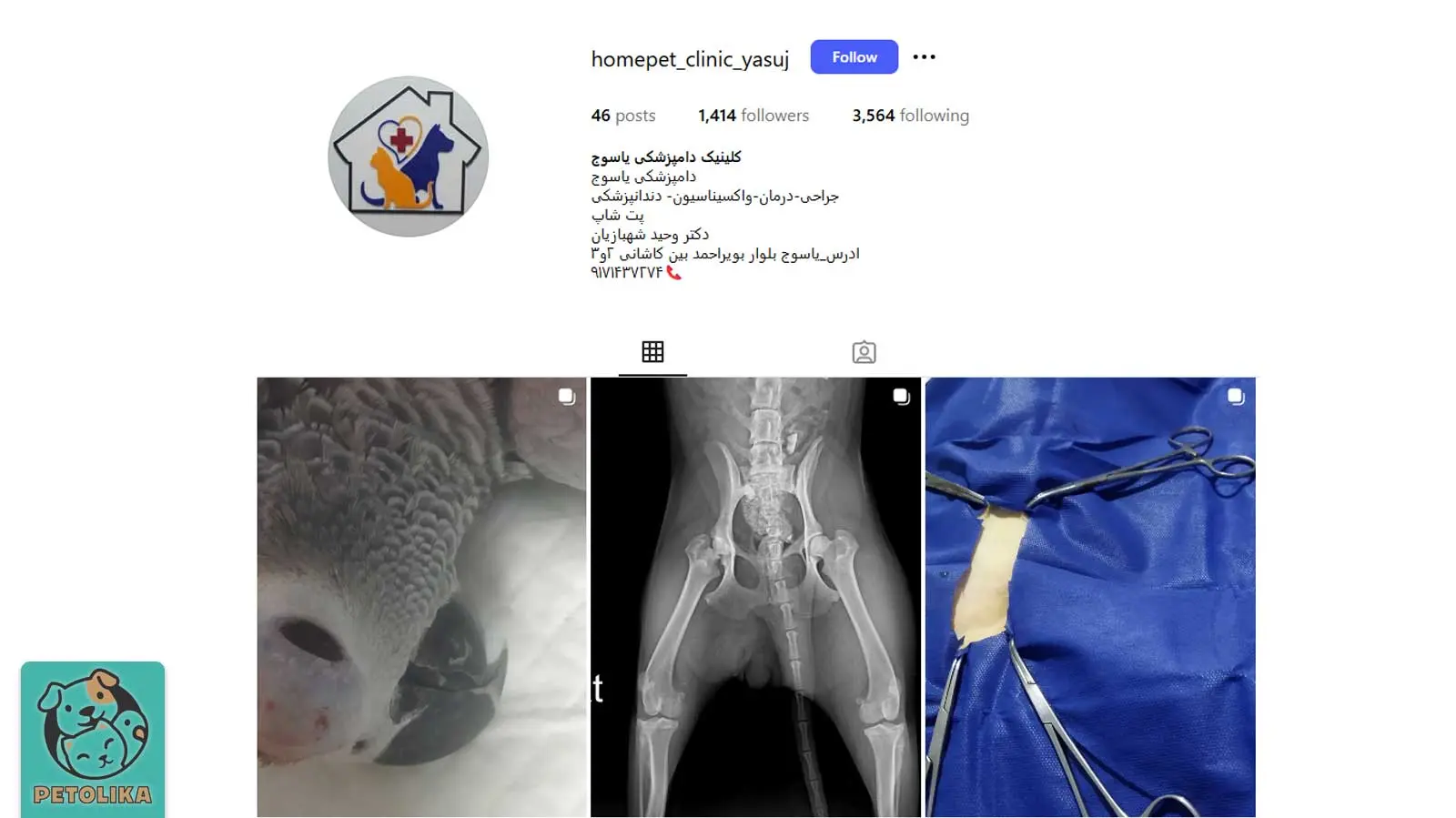 تصویری از صفحه اینستاگرام پت‌شاپ یاسوج