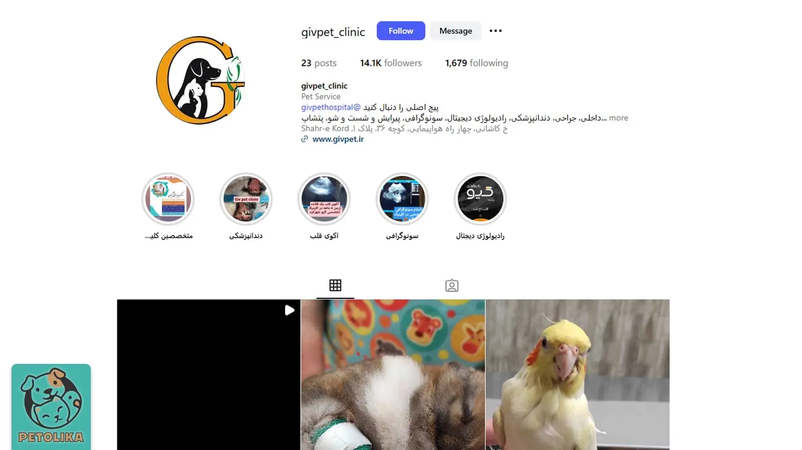تصویری از صفحه اینستاگرام پت‌شاپ گیو پت