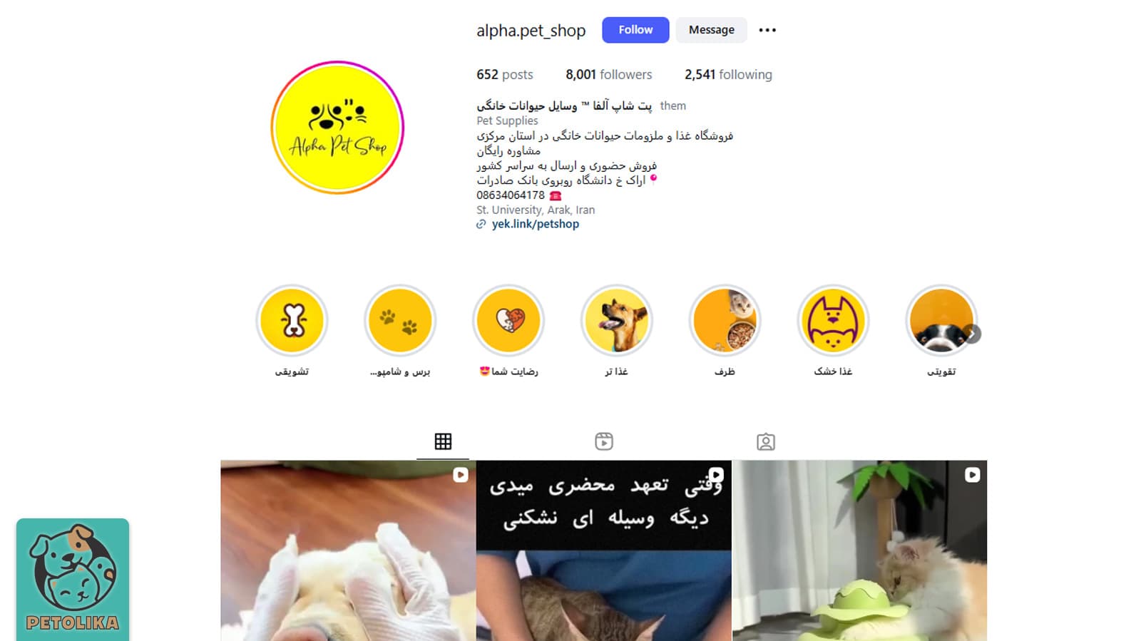 تصویری از صفحه اینستاگرام پت شاپ یکی از پت شاپ های اراک
