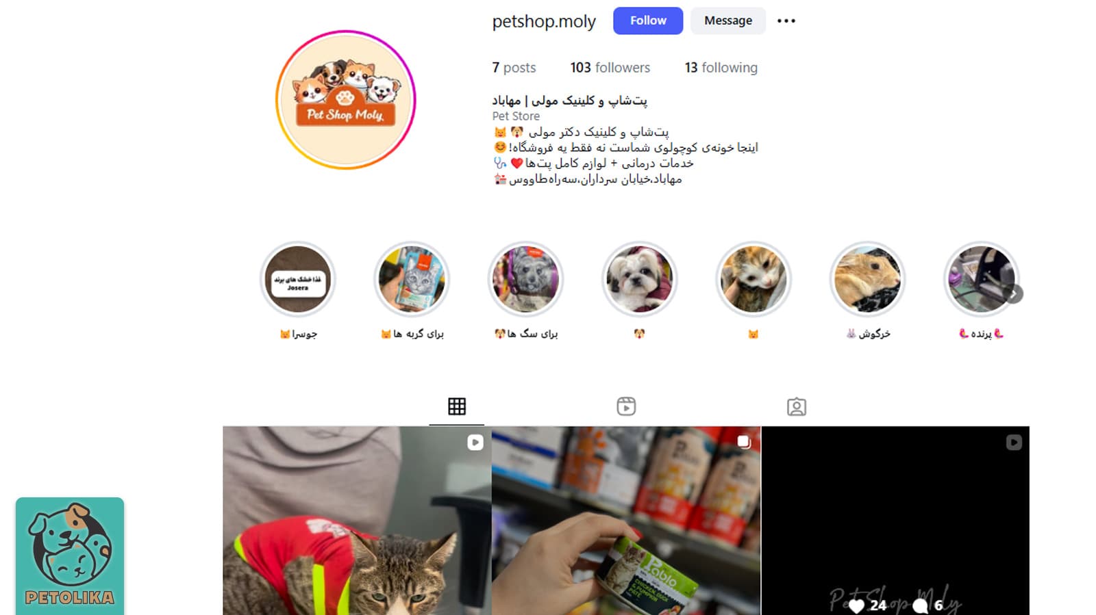لیست بهترین پت شاپ های مهاباد در سال 1404 + آدرس، تلفن، اینستاگرام 21 تصویری از صفحه اینستاگرام پت شاپ مولی