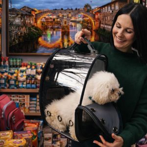 بهترین پت شاپ لنگرود