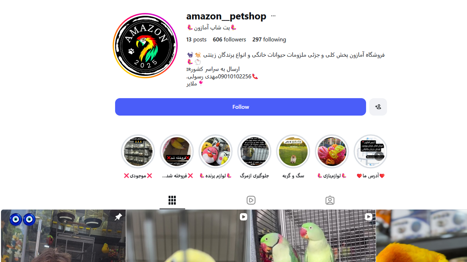پت شاپ های ملایر + معرفی بهترین پت شاپ ملایر (آدرس، تلفن، اینستاگرام) 9 تصویری از صفحه اینستاگرام پت شاپ آمازون
